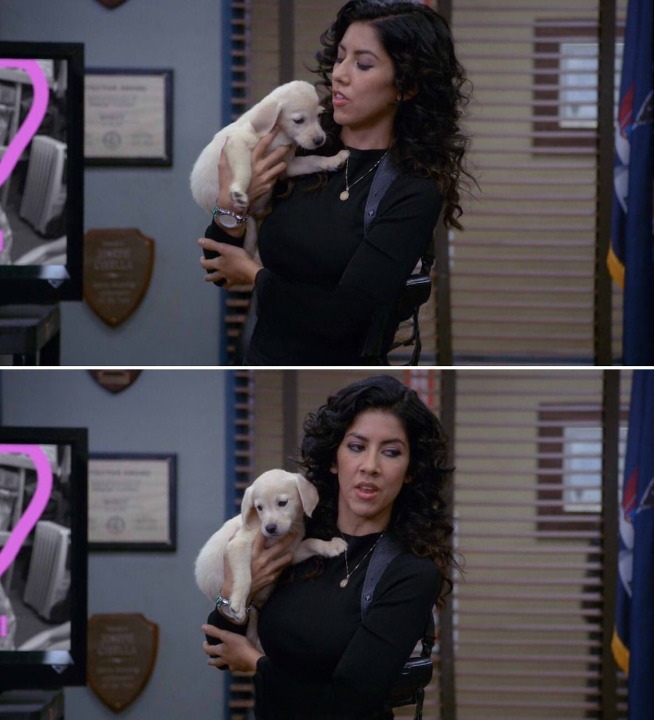 Brooklyn 99 Blank Template - Imgflip