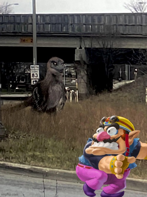 Wario dies getting eaten alive by a Weird Bird.mp3 (Image by CollarLimp3852) | made w/ Imgflip meme maker
