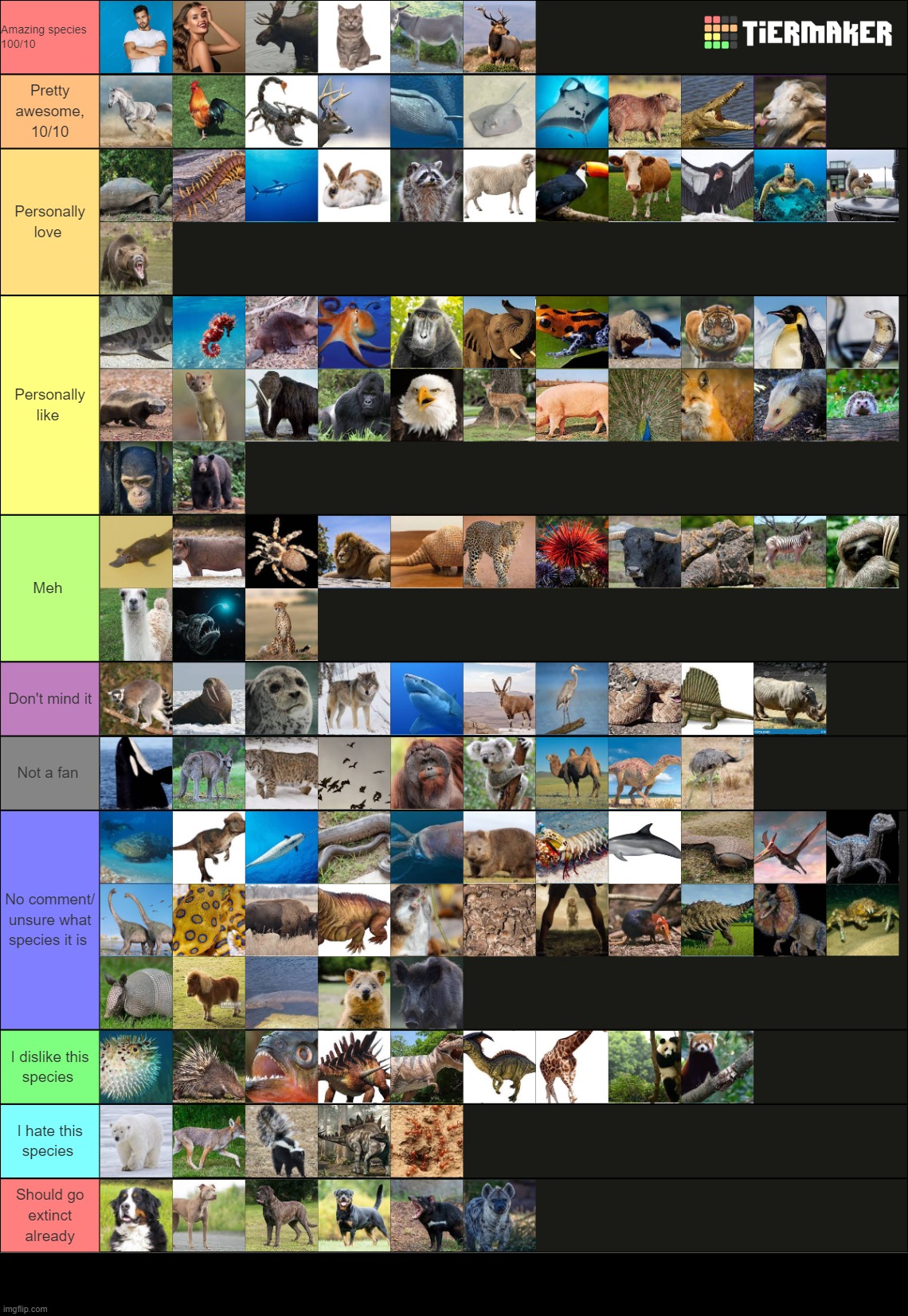 species tierlist | made w/ Imgflip meme maker