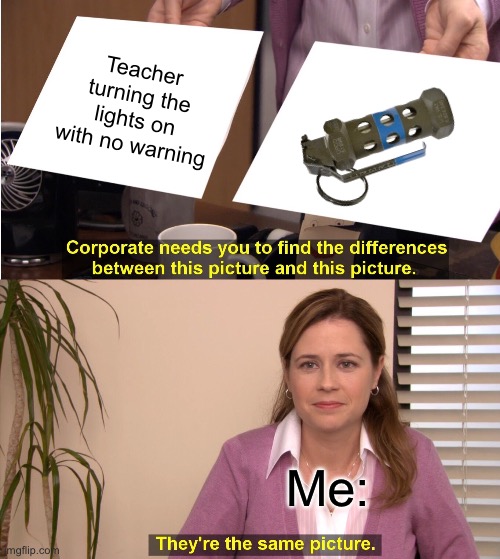 And then half the class ends up blind afterwards | Teacher turning the lights on with no warning; Me: | image tagged in memes,they're the same picture,blind,blinded by the light,teachers,stun grenade | made w/ Imgflip meme maker