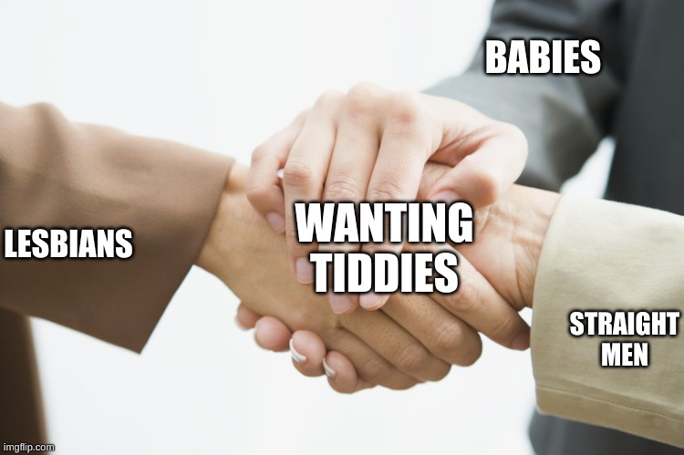 Three Way Handshake | BABIES; STRAIGHT MEN; WANTING TIDDIES; LESBIANS | image tagged in three way handshake | made w/ Imgflip meme maker