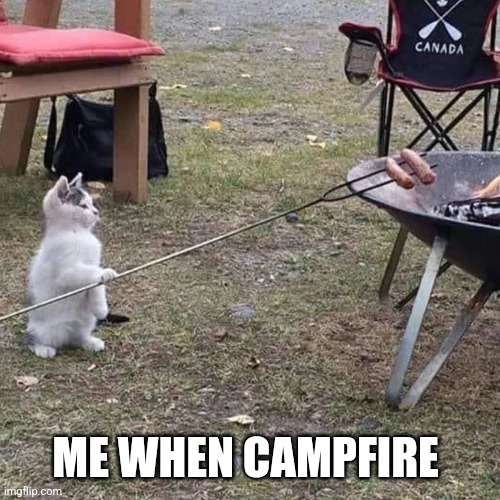 Fire is very silly | ME WHEN CAMPFIRE | image tagged in fire,cat | made w/ Imgflip meme maker