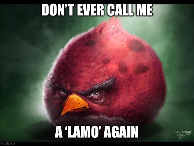 Realistic Angry Bird (big red) | DON’T EVER CALL ME; A ‘LAMO’ AGAIN | image tagged in realistic angry bird big red | made w/ Imgflip meme maker