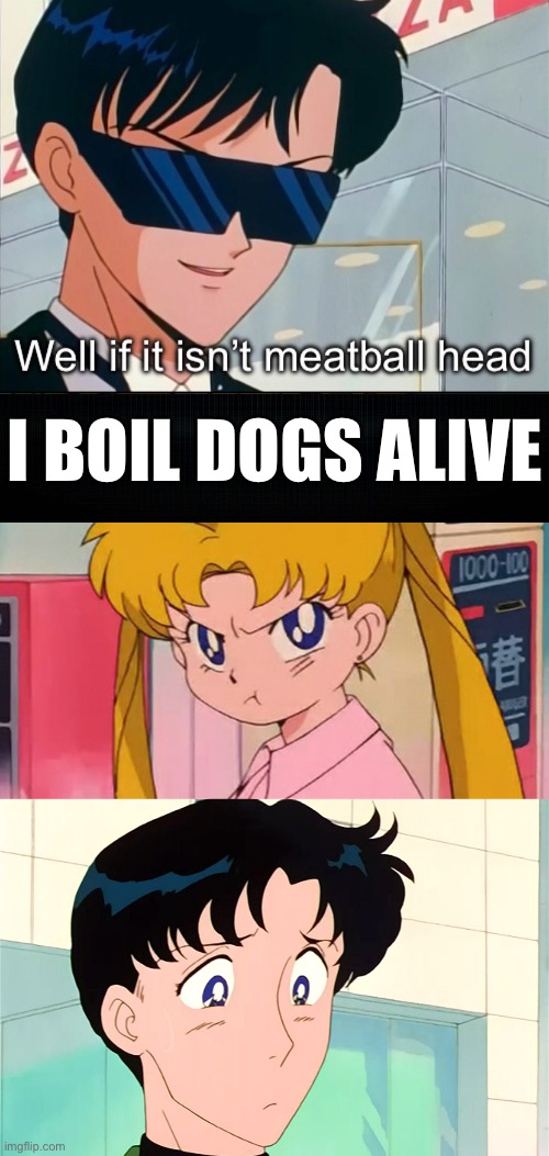 I BOIL DOGS ALIVE | image tagged in sailor moon,memes,i boil dogs alive,jimmy neutron,shitpost | made w/ Imgflip meme maker