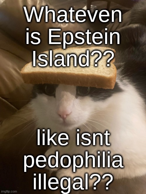 bread cat | Whateven is Epstein Island?? like isnt pedophilia illegal?? | image tagged in bread cat | made w/ Imgflip meme maker