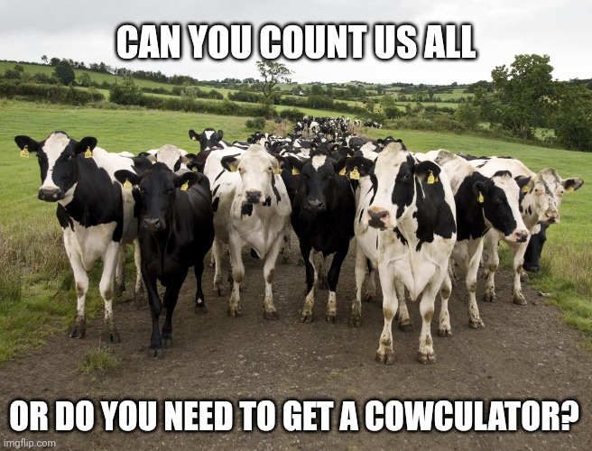 Dairy Cow Herd | CAN YOU COUNT US ALL; OR DO YOU NEED TO GET A COWCULATOR? | image tagged in dairy cow herd | made w/ Imgflip meme maker