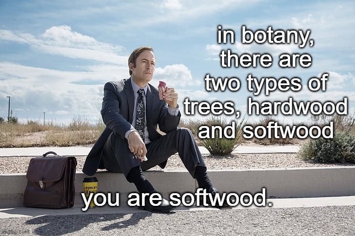 yes. | in botany, there are two types of trees, hardwood and softwood; you are softwood. | image tagged in saul goodman | made w/ Imgflip meme maker