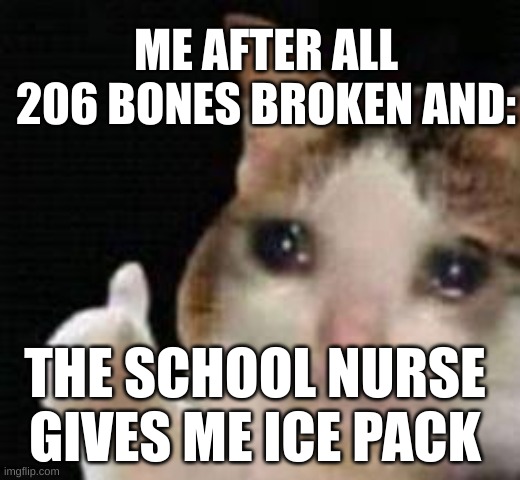 real | ME AFTER ALL 206 BONES BROKEN AND:; THE SCHOOL NURSE GIVES ME ICE PACK | image tagged in approved crying cat | made w/ Imgflip meme maker