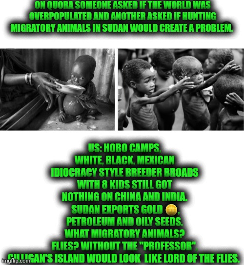 International mess | ON QUORA SOMEONE ASKED IF THE WORLD WAS OVERPOPULATED AND ANOTHER ASKED IF HUNTING MIGRATORY ANIMALS IN SUDAN WOULD CREATE A PROBLEM. US: HOBO CAMPS, WHITE, BLACK, MEXICAN IDIOCRACY STYLE BREEDER BROADS WITH 8 KIDS STILL GOT NOTHING ON CHINA AND INDIA.  SUDAN EXPORTS GOLD 🪙, PETROLEUM AND OILY SEEDS. WHAT MIGRATORY ANIMALS? FLIES? WITHOUT THE "PROFESSOR", GILLIGAN'S ISLAND WOULD LOOK  LIKE LORD OF THE FLIES. | image tagged in world,politics,manager,management,hello human resources,epic fail | made w/ Imgflip meme maker
