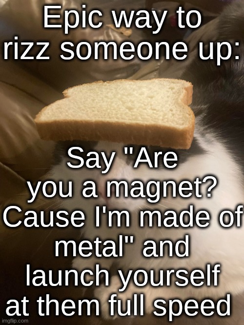 bread cat | Epic way to rizz someone up:; Say "Are you a magnet? Cause I'm made of metal" and launch yourself at them full speed | image tagged in bread cat | made w/ Imgflip meme maker