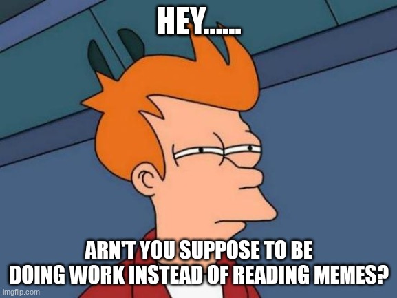 Futurama Fry Meme | HEY...... ARN'T YOU SUPPOSE TO BE DOING WORK INSTEAD OF READING MEMES? | image tagged in memes,futurama fry | made w/ Imgflip meme maker