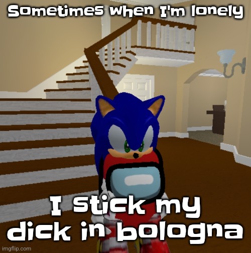What did sou yay | Sometimes when I'm lonely; I stick my dick in bologna | image tagged in what did sou yay | made w/ Imgflip meme maker