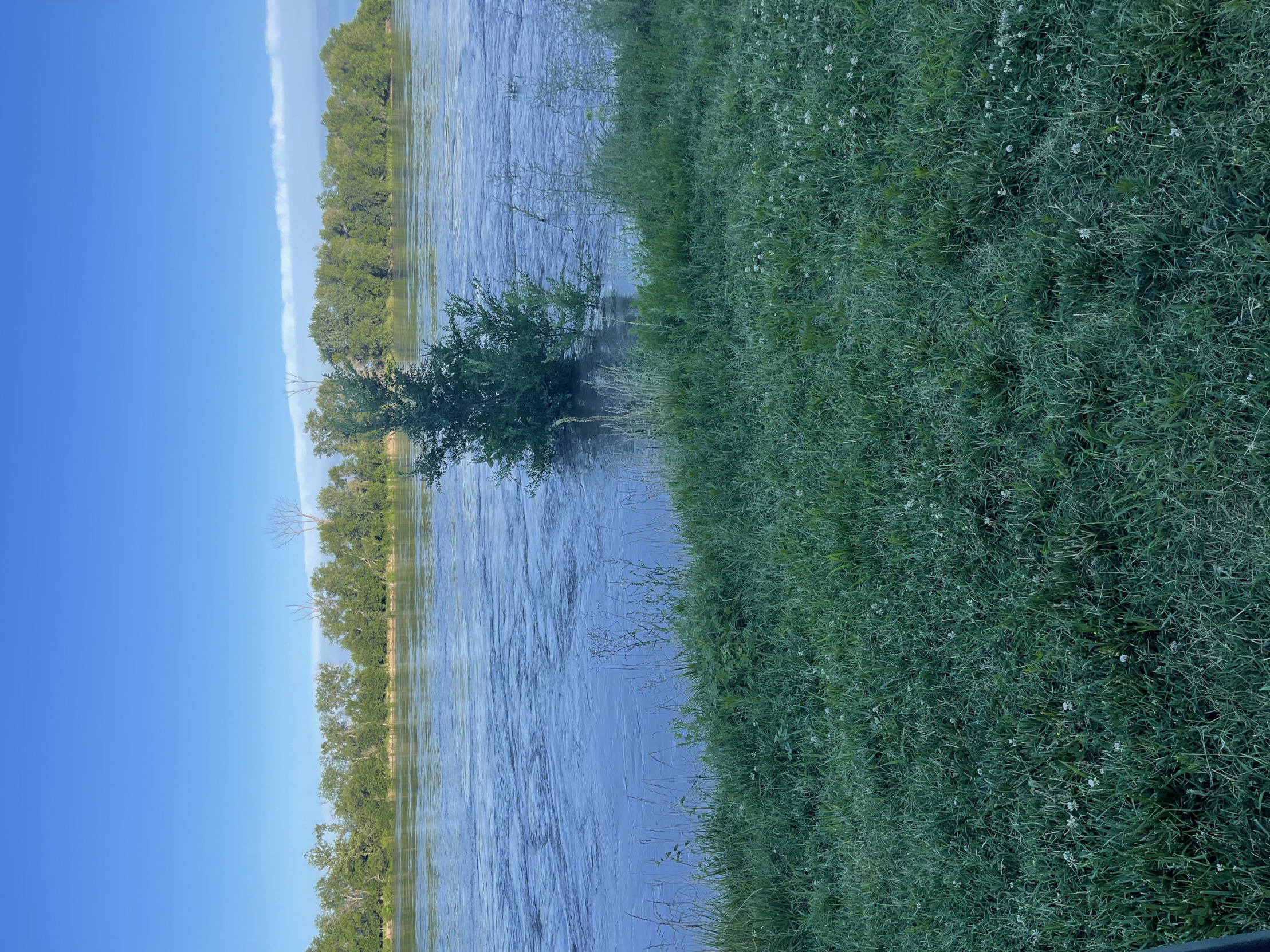 MarieS Blank Meme Template