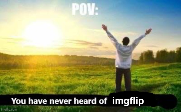 imgflip | made w/ Imgflip meme maker
