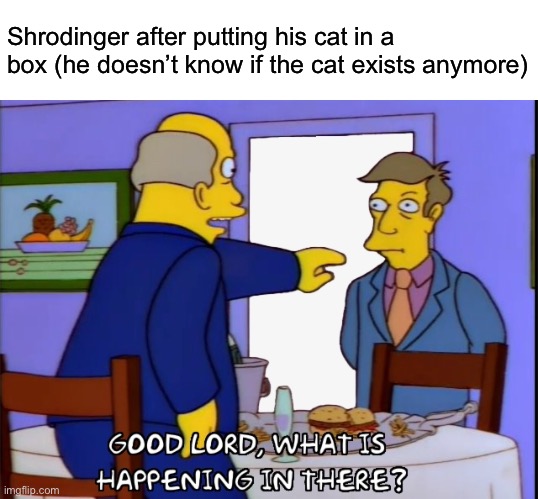 Imagine if instead of becoming a famous philosopher/scientist people just thought he had object impermanence like a baby | Shrodinger after putting his cat in a box (he doesn’t know if the cat exists anymore) | image tagged in what is happening in there,funny | made w/ Imgflip meme maker