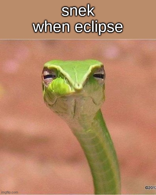 Snek Blank | snek when eclipse | image tagged in snek blank | made w/ Imgflip meme maker