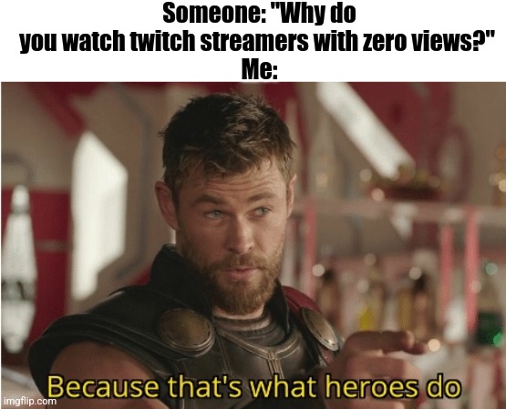 Those people are so nice man. | Someone: "Why do you watch twitch streamers with zero views?" 
Me: | image tagged in that s what heroes do | made w/ Imgflip meme maker