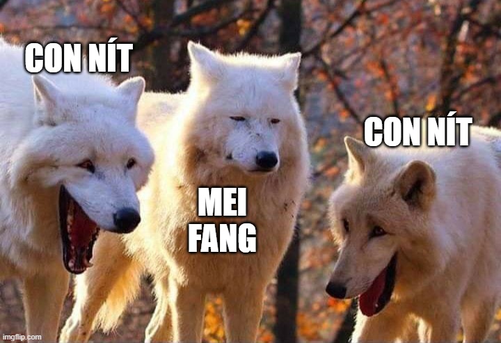 Laughing wolf | CON NÍT; CON NÍT; MEI FANG | image tagged in laughing wolf | made w/ Imgflip meme maker