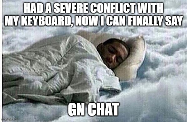 who tf invented the ctrl key | HAD A SEVERE CONFLICT WITH MY KEYBOARD, NOW I CAN FINALLY SAY; GN CHAT | image tagged in how i sleep | made w/ Imgflip meme maker