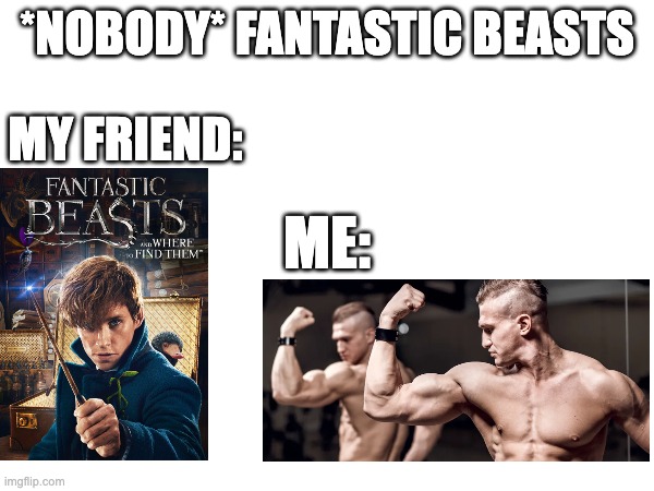 I'm the my friend one | *NOBODY* FANTASTIC BEASTS; MY FRIEND:; ME: | made w/ Imgflip meme maker