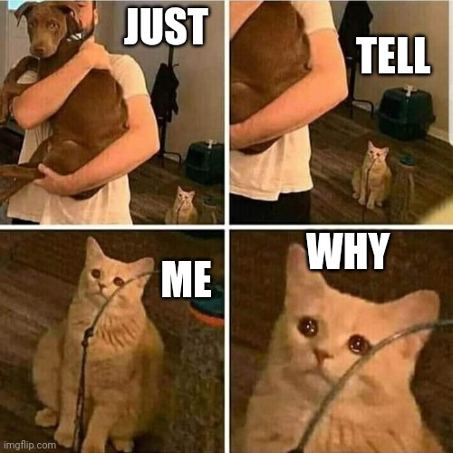 Sad Cat Holding Dog | JUST; TELL; ME; WHY | image tagged in sad cat holding dog | made w/ Imgflip meme maker