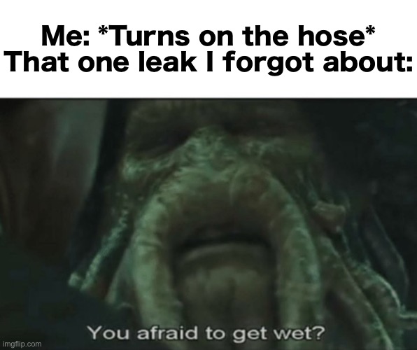 Afraid to get wet? | Me: *Turns on the hose*
That one leak I forgot about: | image tagged in afraid to get wet | made w/ Imgflip meme maker