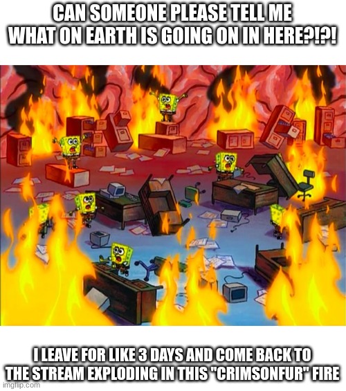 please just sum up what is going on in the comments | CAN SOMEONE PLEASE TELL ME WHAT ON EARTH IS GOING ON IN HERE?!?! I LEAVE FOR LIKE 3 DAYS AND COME BACK TO THE STREAM EXPLODING IN THIS "CRIMSONFUR" FIRE | image tagged in spongebob brain chaos,what is going on | made w/ Imgflip meme maker