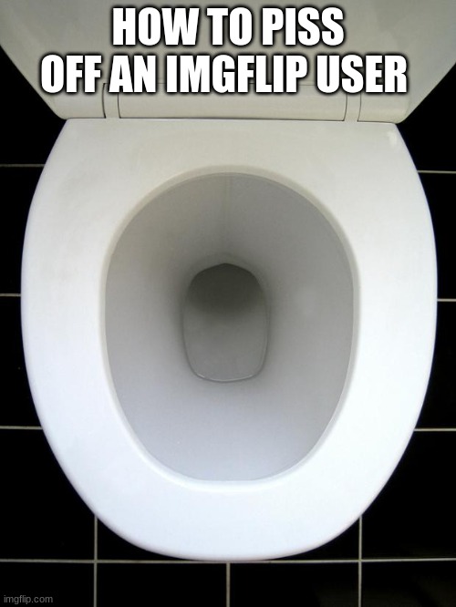 TOILET | HOW TO PISS OFF AN IMGFLIP USER | image tagged in toilet | made w/ Imgflip meme maker