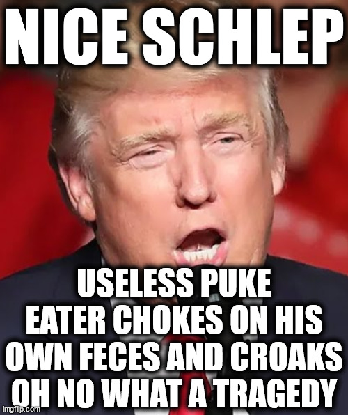 nice cheeto clown boring | NICE SCHLEP; USELESS PUKE EATER CHOKES ON HIS OWN FECES AND CROAKS OH NO WHAT A TRAGEDY | image tagged in yeah you do that sitting idiot | made w/ Imgflip meme maker