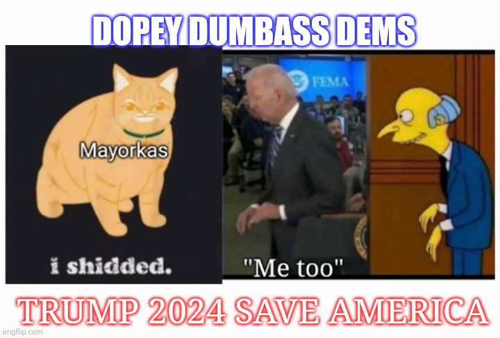 DOPEY DUMBASS DEMS; TRUMP 2024 SAVE AMERICA | image tagged in dumbass,libtards,voting,president trump,save,america | made w/ Imgflip meme maker