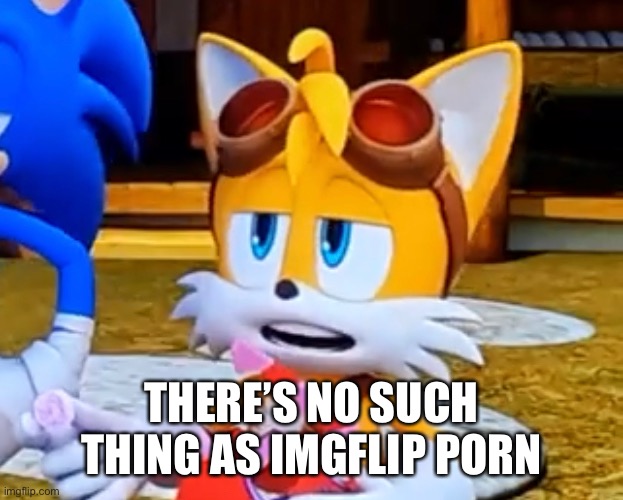 THERE’S NO SUCH THING AS IMGFLIP PORN | made w/ Imgflip meme maker