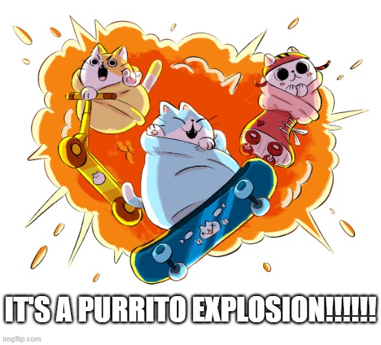 IT'S A PURRITO EXPLOSION!!!!!! | image tagged in cats,burrito,scooter,skateboard,roller skates,explosion | made w/ Imgflip meme maker