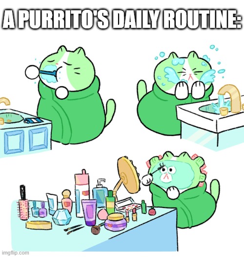 A PURRITO'S DAILY ROUTINE: | image tagged in cat,burrito,brushing teeth,washing,face,makeup | made w/ Imgflip meme maker