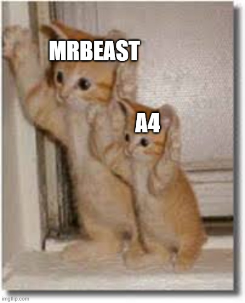 copycat 85% | MRBEAST; A4 | image tagged in copycat 85 | made w/ Imgflip meme maker