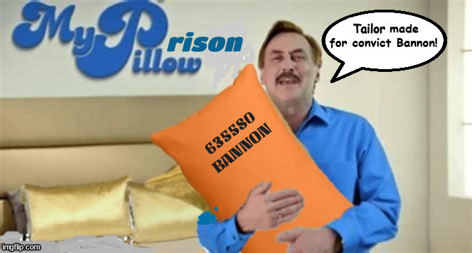 Steve's Prison Pillow | image tagged in bannon behind bars,steve's prison pillow,maga minions,mike lindell,my pillow,j6th chior | made w/ Imgflip meme maker