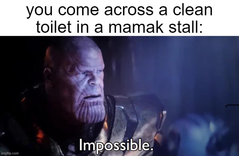 mamak | you come across a clean toilet in a mamak stall: | image tagged in thanos impossible,malaysia | made w/ Imgflip meme maker