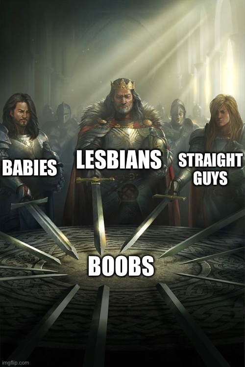 Knights of the Round Table | BABIES LESBIANS STRAIGHT GUYS BOOBS | image tagged in knights of the round table | made w/ Imgflip meme maker