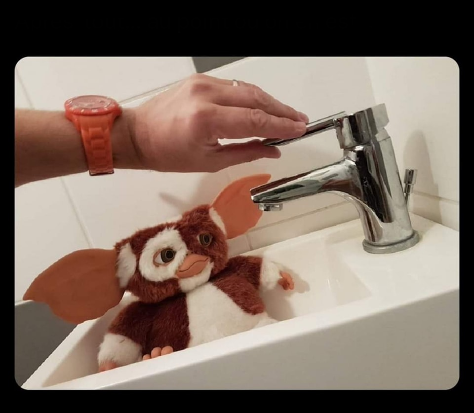 Gizmo in sink Blank Meme Template