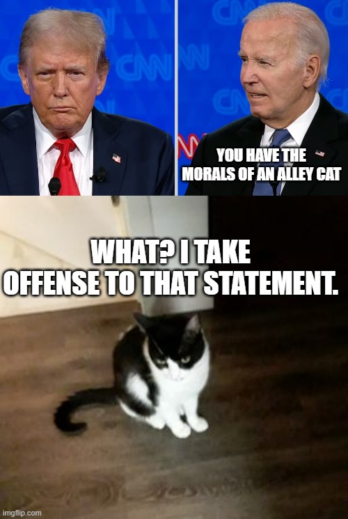 A Difference Of Opinion | YOU HAVE THE MORALS OF AN ALLEY CAT; WHAT? I TAKE OFFENSE TO THAT STATEMENT. | image tagged in memes,politics,joe biden,donald trump,alley cat,hold up wait a minute something aint right | made w/ Imgflip meme maker