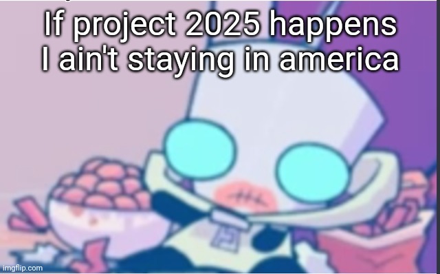 Im like one of the main things they want to get rid of | If project 2025 happens I ain't staying in america | image tagged in gir | made w/ Imgflip meme maker