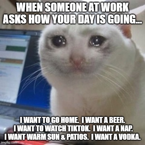 Crying cat | WHEN SOMEONE AT WORK ASKS HOW YOUR DAY IS GOING... I WANT TO GO HOME.  I WANT A BEER.  I WANT TO WATCH TIKTOK.  I WANT A NAP.  I WANT WARM SUN & PATIOS.  I WANT A VODKA. | image tagged in crying cat | made w/ Imgflip meme maker