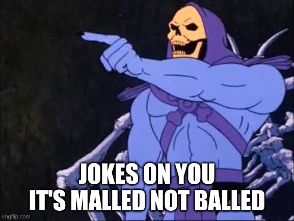 Skeletor | JOKES ON YOU IT'S MALLED NOT BALLED | image tagged in skeletor | made w/ Imgflip meme maker