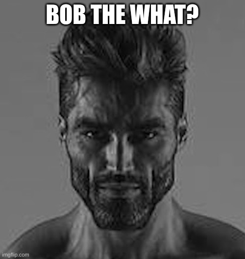 furry hunter chad | BOB THE WHAT? | image tagged in furry hunter chad | made w/ Imgflip meme maker