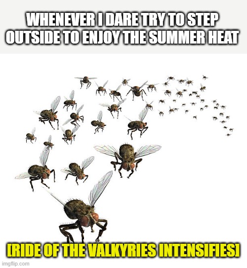 Swarm of flying flies | WHENEVER I DARE TRY TO STEP OUTSIDE TO ENJOY THE SUMMER HEAT; [RIDE OF THE VALKYRIES INTENSIFIES] | image tagged in swarm of flying flies | made w/ Imgflip meme maker