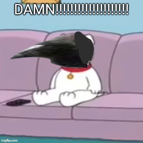 DAMN!!!!!!!!!!!!!!!!!!!! | made w/ Imgflip meme maker