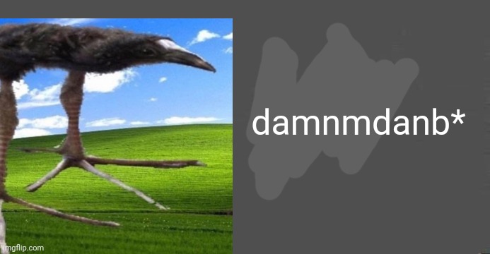 yro'ue* blank | damnmdanb* | image tagged in yro'ue blank | made w/ Imgflip meme maker
