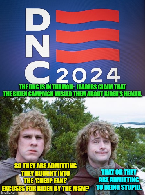 Either way the DNC is admitting to being stupid. | THE DNC IS IN TURMOIL:  LEADERS CLAIM THAT THE BIDEN CAMPAIGN MISLED THEM ABOUT BIDEN’S HEALTH. SO THEY ARE ADMITTING THEY BOUGHT INTO THE 'CHEAP FAKE' EXCUSES FOR BIDEN BY THE MSM? THAT OR THEY ARE ADMITTING TO BEING STUPID. | image tagged in yep | made w/ Imgflip meme maker