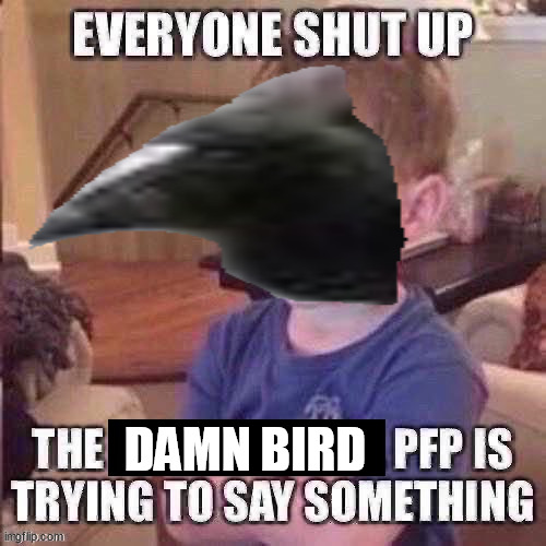 The pfp is trying to say something | DAMN BIRD | image tagged in the pfp is trying to say something | made w/ Imgflip meme maker