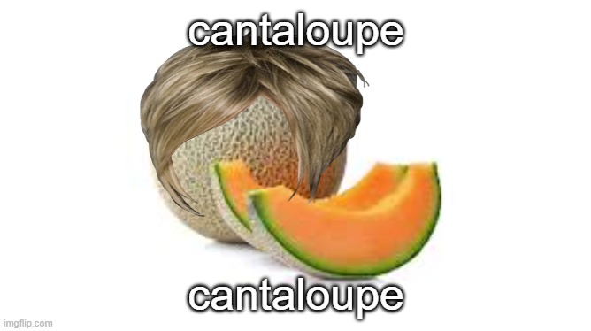 LOBOTOMEHHH | cantaloupe; cantaloupe | image tagged in yahiamice cantaloupe | made w/ Imgflip meme maker