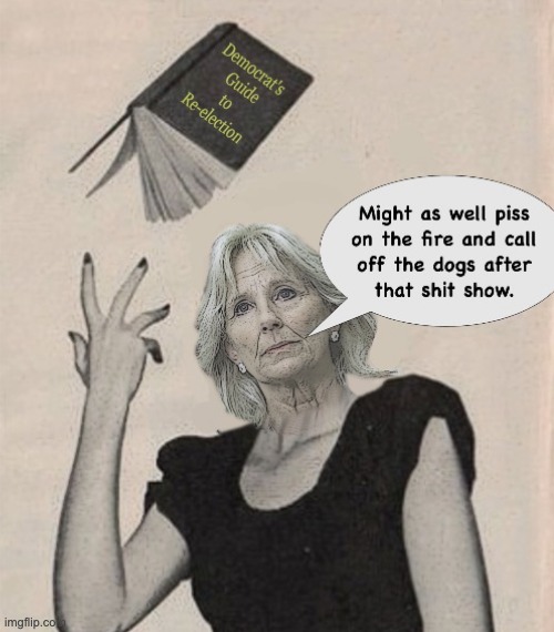 Life Goals | image tagged in jill biden,wicked jill,greedy jill,elder abuser jill | made w/ Imgflip meme maker